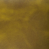 Kravet RAMBLER CACTUS Upholstery Fabric