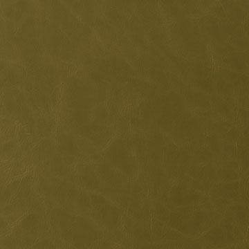 Kravet SANTINA WASABI Upholstery Fabric