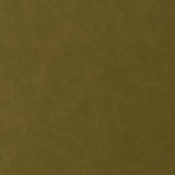 Kravet SANTINA WASABI Upholstery Fabric