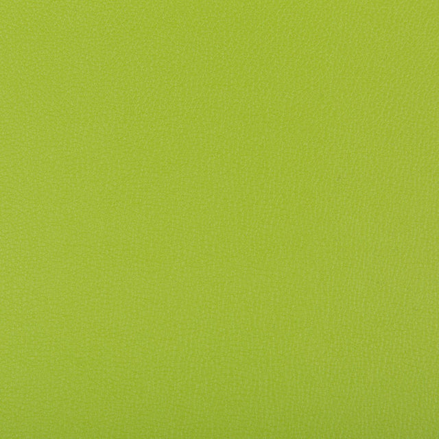 Kravet SYRUS MATCHA Upholstery Fabric