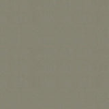 Kravet ULTRASUEDE LEAD Upholstery Fabric