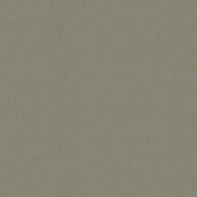 Kravet ULTRASUEDE LEAD Upholstery Fabric