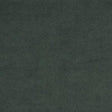 Kravet ULTRASUEDE ALPINE Upholstery Fabric