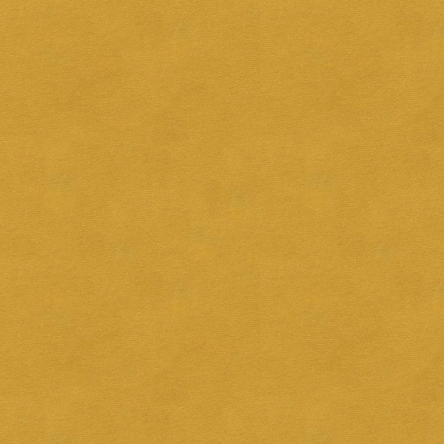 Kravet DESIGN VERSAILLES E211000 Upholstery Fabric