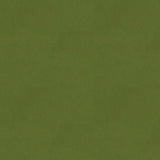 Kravet DESIGN VERSAILLES E262800 Upholstery Fabric