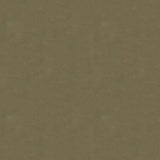 Kravet DESIGN VERSAILLES E277200 Upholstery Fabric