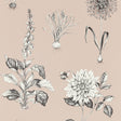 Clarke & Clarke ROSERAIE BLUSH WP Wallpaper