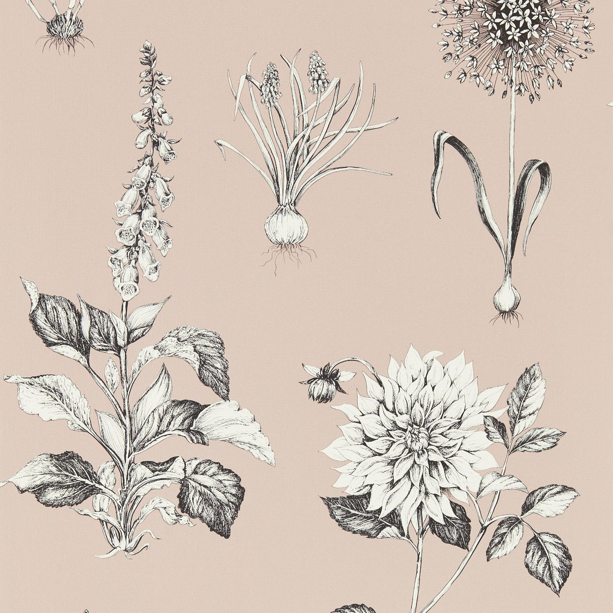 Clarke & Clarke ROSERAIE BLUSH WP Wallpaper