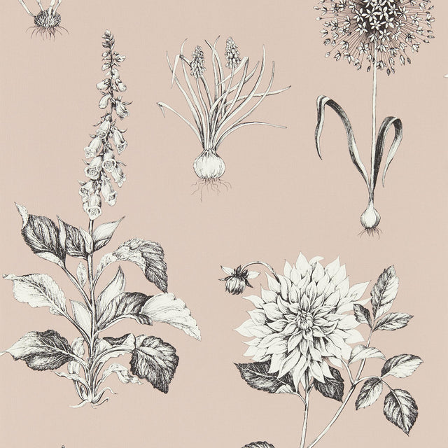 Clarke & Clarke ROSERAIE BLUSH WP Wallpaper