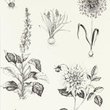 Clarke & Clarke ROSERAIE CHARCOAL WP Wallpaper