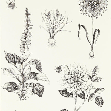 Clarke & Clarke ROSERAIE CHARCOAL WP Wallpaper