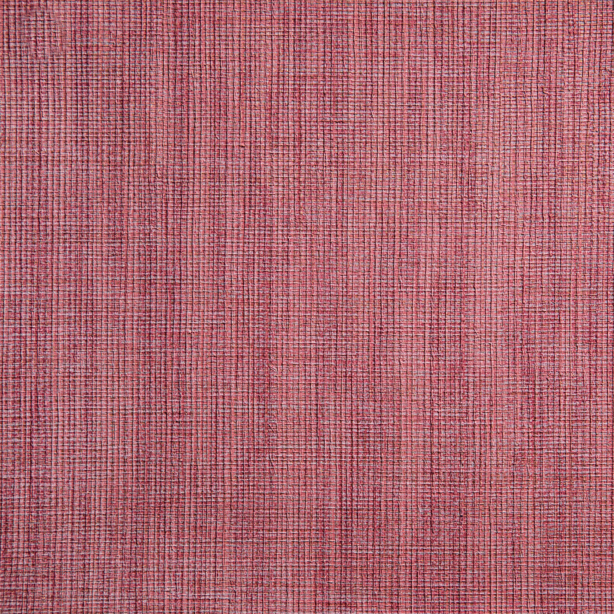 Kravet DESIGN W3654 910 Wallpaper