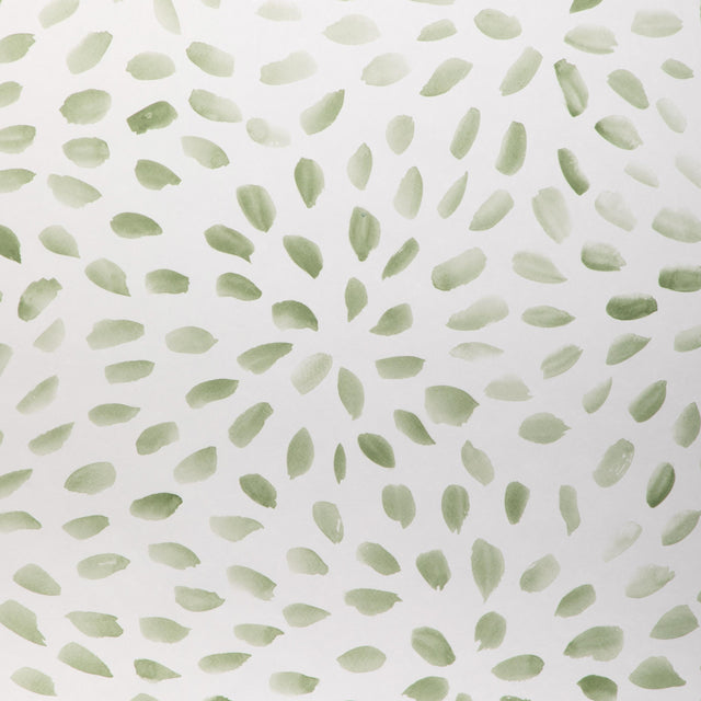 Kravet PETAL BLOSSOM WP SAGE Wallpaper