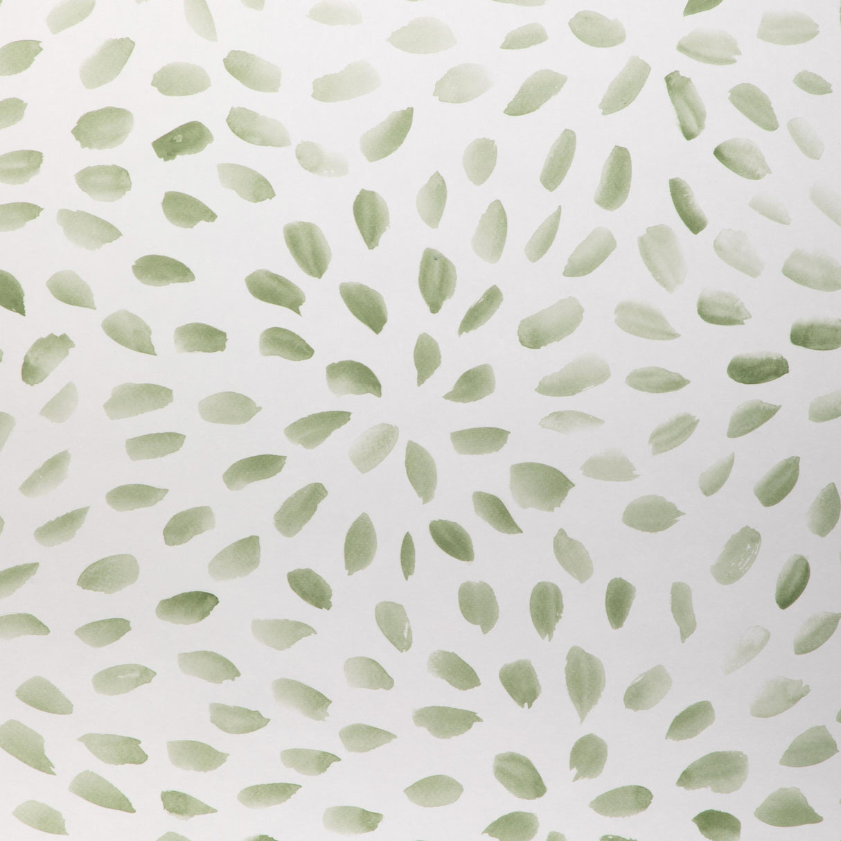Kravet PETAL BLOSSOM WP SAGE Wallpaper