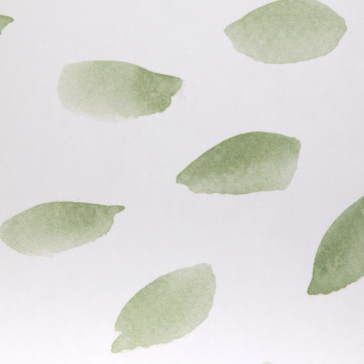 Kravet PETAL BLOSSOM WP SAGE Wallpaper