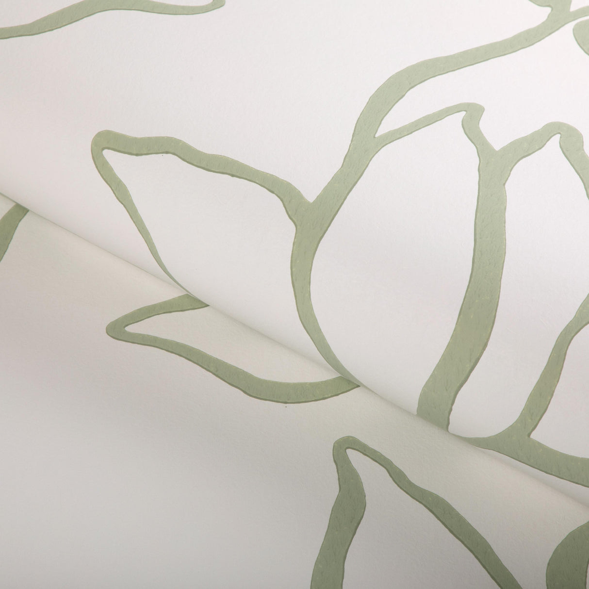 Kravet FLORAL SKETCH WP SAGE Wallpaper