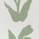 Kravet CLIMBING LEAVES WP SAGE Wallpaper