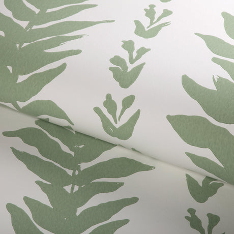 Kravet CLIMBING LEAVES WP SAGE Wallpaper