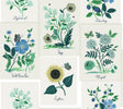 Kravet DESIGN W3947 350 Wallpaper