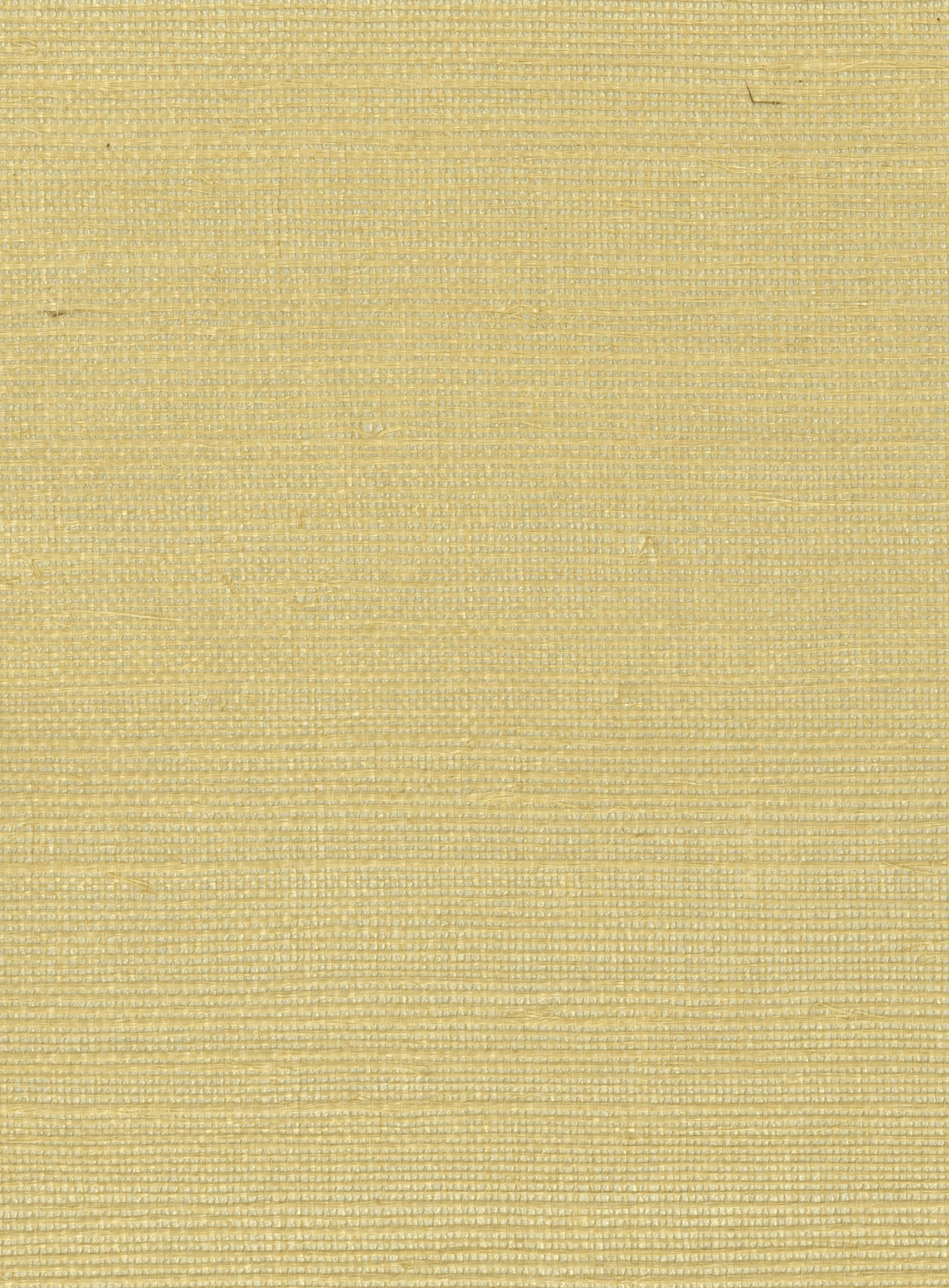 Kravet DESIGN W4003 40 Wallpaper