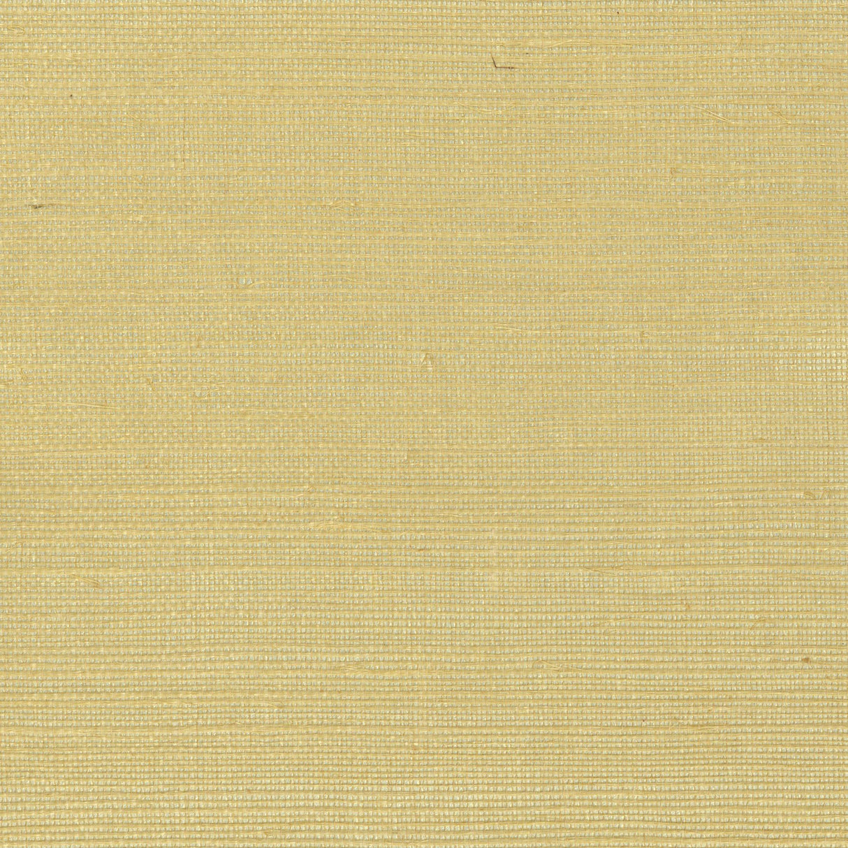 Kravet DESIGN W4003 40 Wallpaper