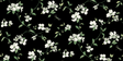 Kravet DESIGN W4137 830 Wallpaper