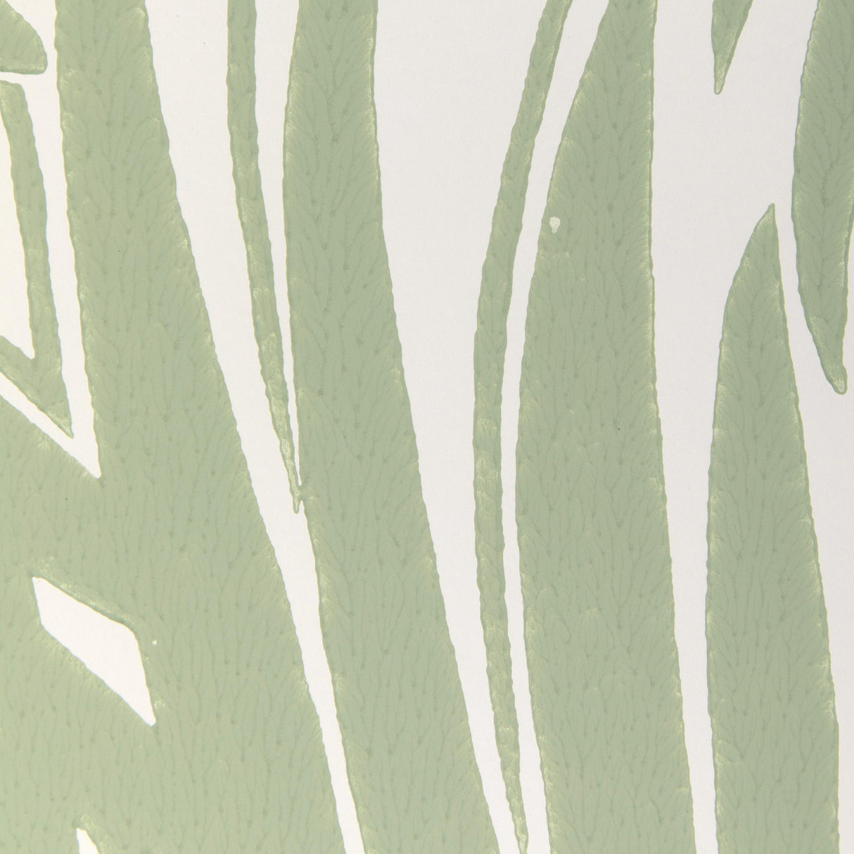 Kravet PALM LEAF WP LIGHT GREEN Wallpaper