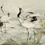 Kravet DESIGN W4186 30 Wallpaper