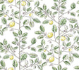 Kravet DESIGN W4241 340 Wallpaper