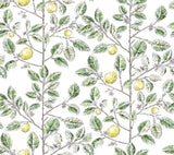 Kravet DESIGN W4241 340 Wallpaper
