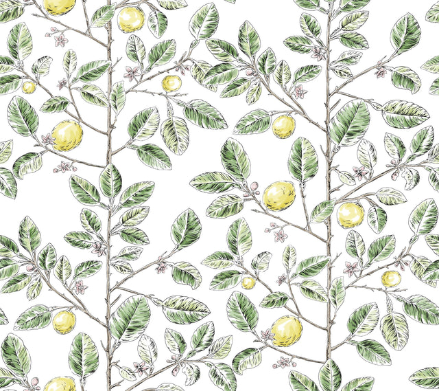 Kravet DESIGN W4241 340 Wallpaper