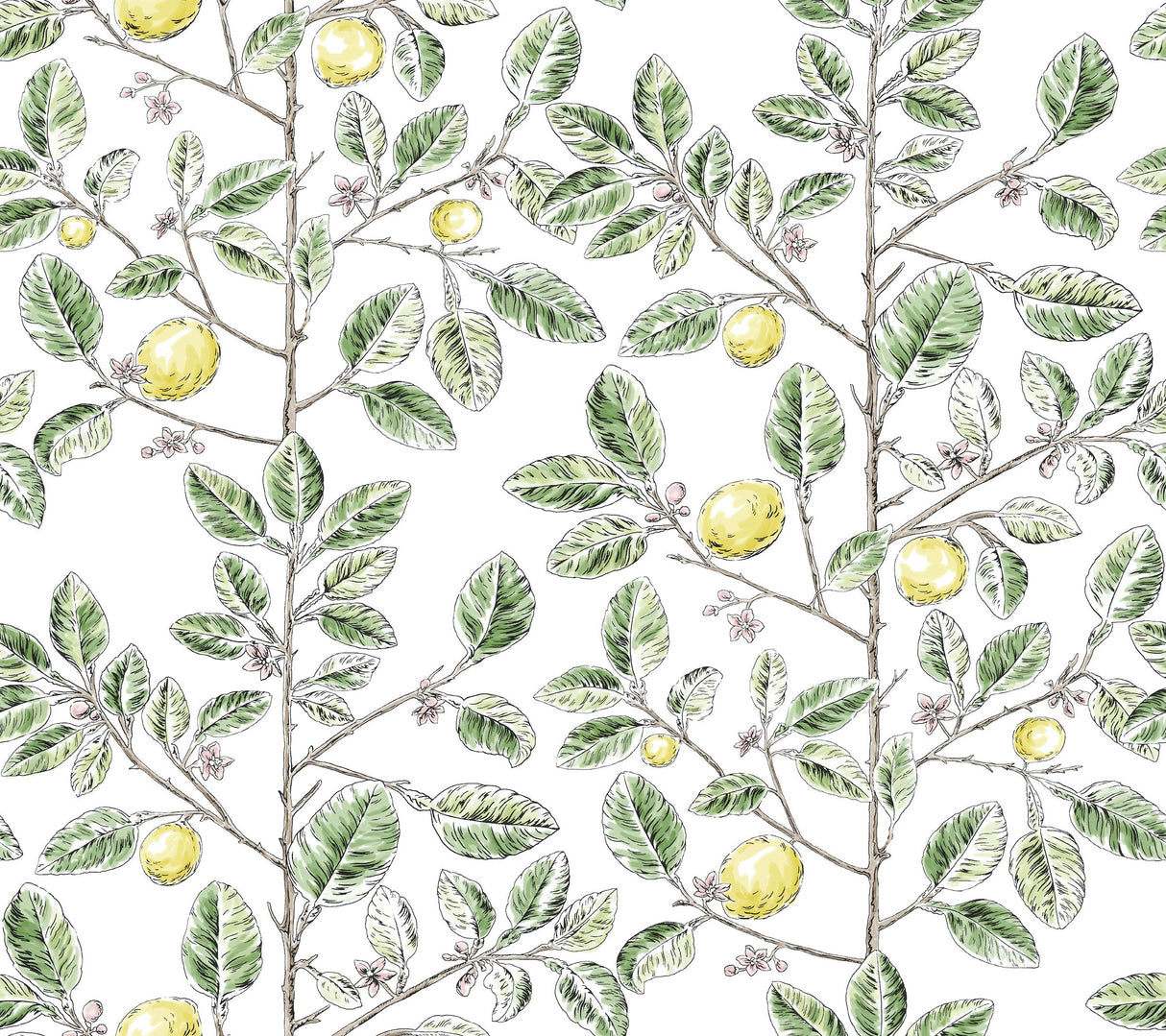 Kravet DESIGN W4241 340 Wallpaper