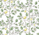 Kravet DESIGN W4241 340 Wallpaper