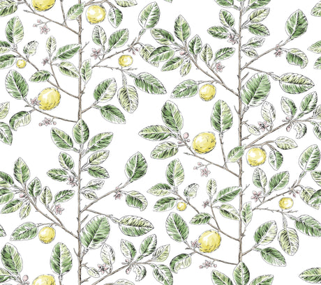 Kravet DESIGN W4241 340 Wallpaper