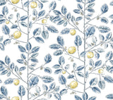 Kravet DESIGN W4241 540 Wallpaper