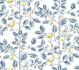 Kravet DESIGN W4241 540 Wallpaper