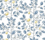 Kravet DESIGN W4241 540 Wallpaper
