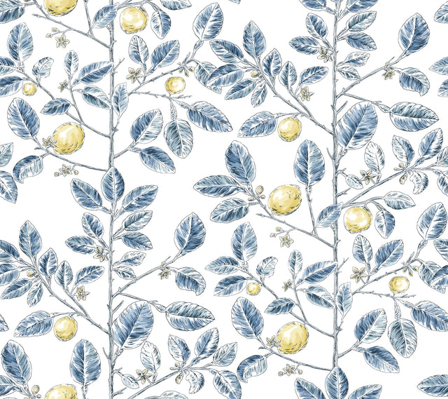 Kravet DESIGN W4241 540 Wallpaper