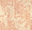 Kravet CASPIA WP PERSIAN ROSE Wallpaper