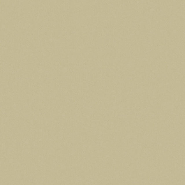 Maxwell ZAITUN #544 SEAGRASS Drapery Fabric