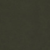 Maxwell BOYDEN-NJ #929 GUERRILA Fabric