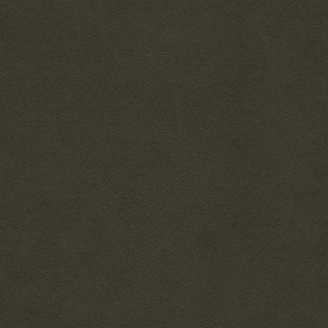 Maxwell BOYDEN-NJ #929 GUERRILA Fabric