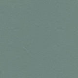 Maxwell CATALYST-NJ #536 MIST Fabric