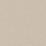 Maxwell HIGHBORN-NJ #394 NATURAL Fabric