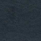 Maxwell HOTH-NJ #702 POSEIDON Fabric