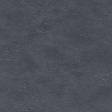 Maxwell LINZ-NJ #247 MONUMENT Fabric