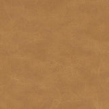 Maxwell MARZANO-NJ #274 BAKED BEANS Fabric