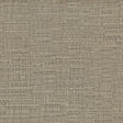 Maxwell OVERSTREET-NJ #366 SAND DOLLAR Fabric