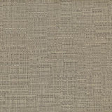 Maxwell OVERSTREET-NJ #366 SAND DOLLAR Fabric