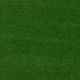 Maxwell RAVE #620 VERDANT Fabric